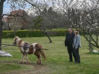 Nagyobb kép megtekintése